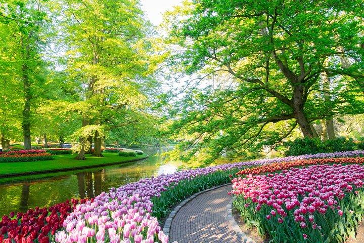 Keukenhof (tulips), Zaanse Schans and Volendam Small Group Tour