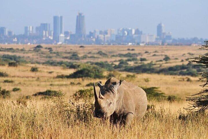 Early Morning Group Tour to Nairobi National Park