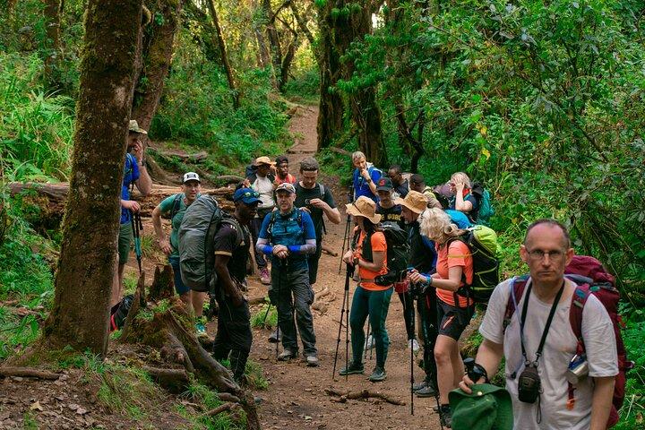 6 Days Machame Route Kilimanjaro Group Hiking and Climbing Tour