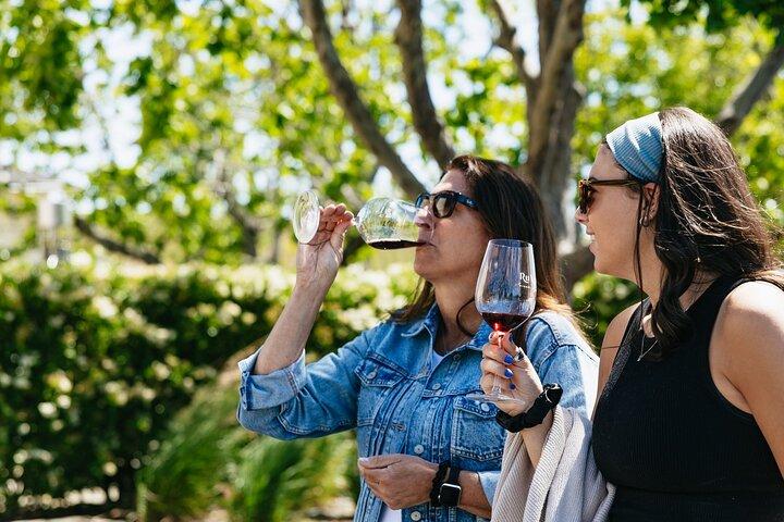 Napa Valley Wine and Food Tasting Tour from San Francisco