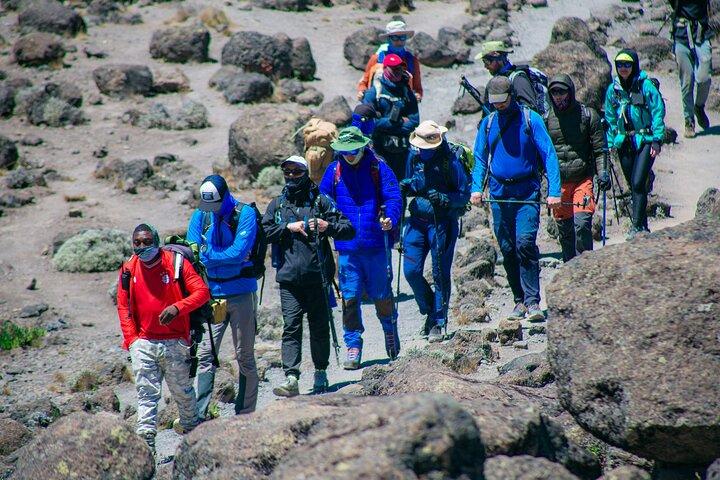 Climb Mount Kilimanjaro in 7 Days 6 Nights Using Lemosho Route