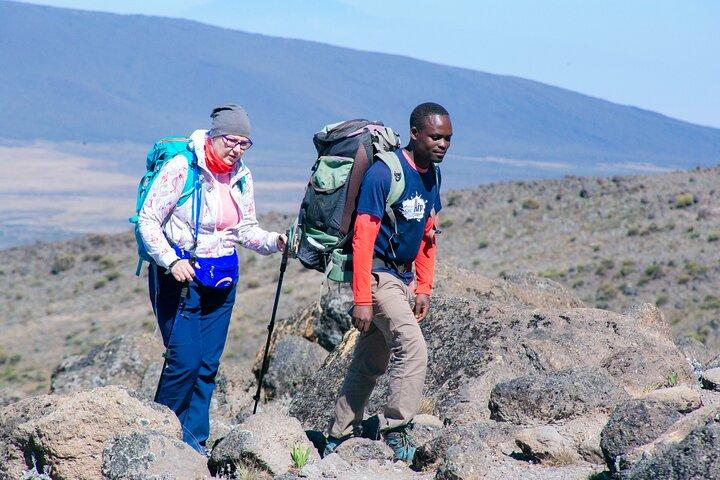 Climb Mount Kilimanjaro in 7 Days 6 Nights Using Lemosho Route