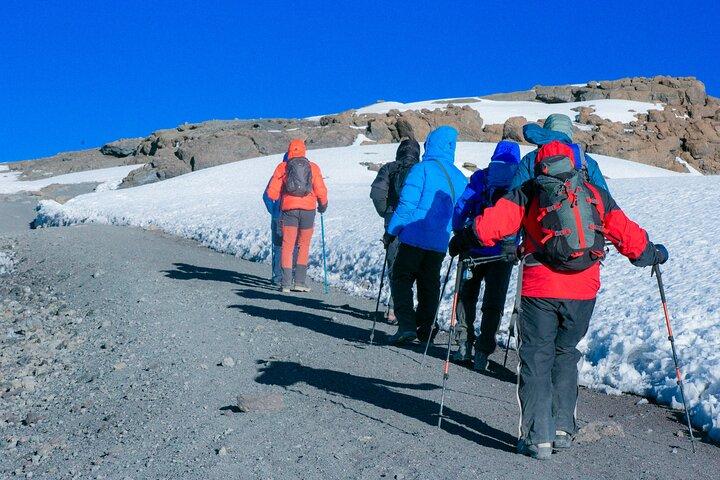 Climb Mount Kilimanjaro in 7 Days 6 Nights Using Lemosho Route