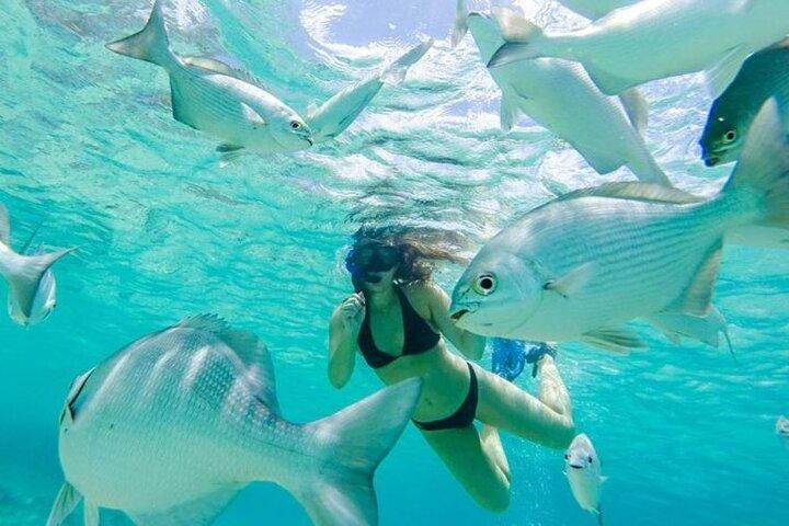 Cozumel: Day in Punta Sur Eco Park and Del Cielo Beach with Snorkeling