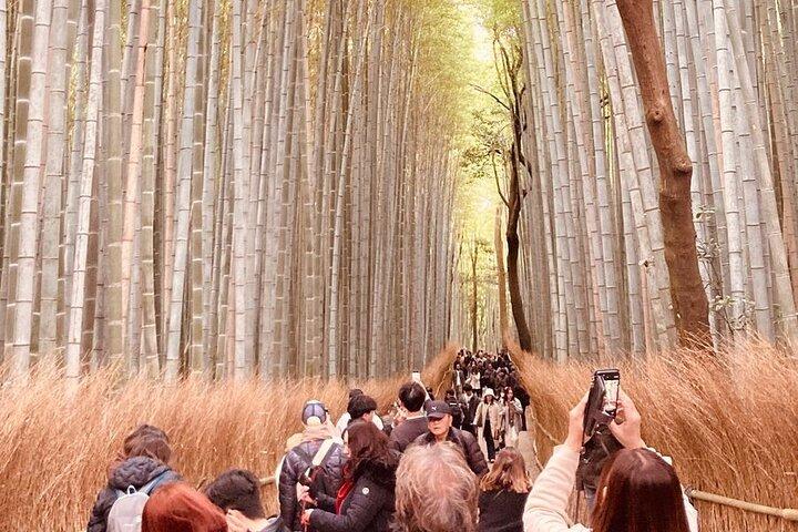 Kyoto Private & Customizable Tour with English-Speaking Driver