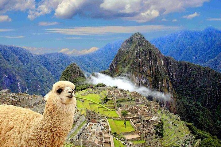 Private Guided Tour in Machu Picchu