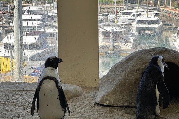 Ocean Aquarium and Harbour Cruise Tour with Transportation