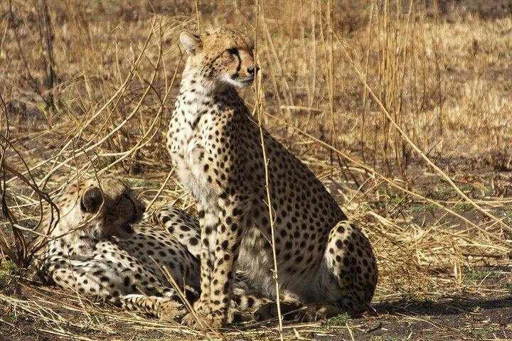 3 Days Ngorongoro Crater and Serengeti Safari.