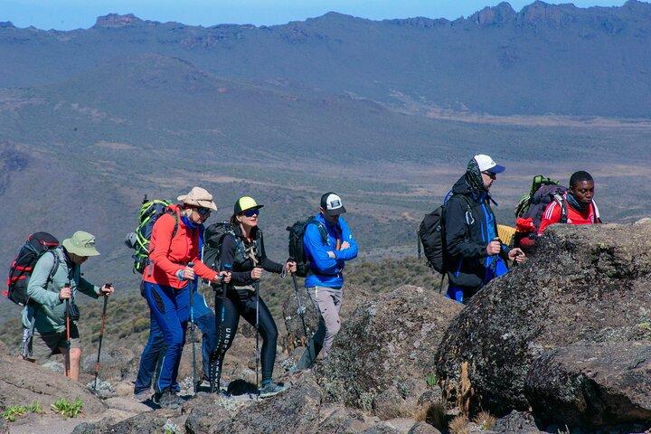 8 Days Kilimanjaro Climb Group Joining Tour via the Lemosho Route
