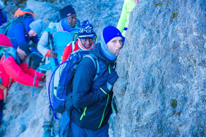 8 Days Kilimanjaro Climb Group Joining Tour via the Lemosho Route
