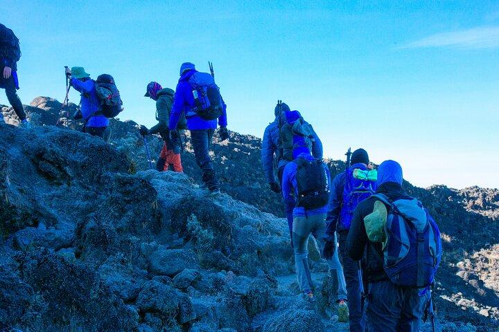 8 Days Kilimanjaro Climb Group Joining Tour via the Lemosho Route
