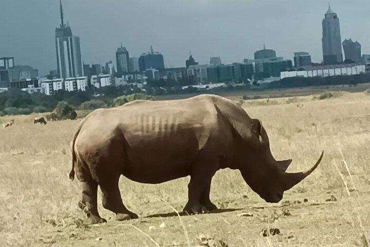 Nairobi Park, Giraffe Center,Beads Center and Karen Blixen Museum