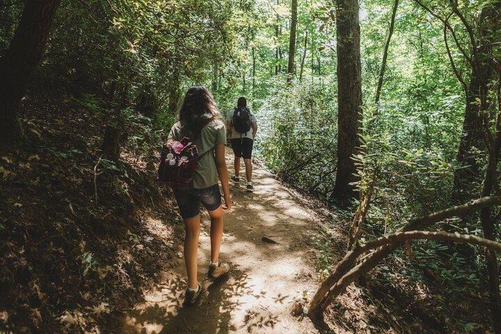 Jakarta: Hidden Waterfall Rainforest Trek & Botanical Garden Tour