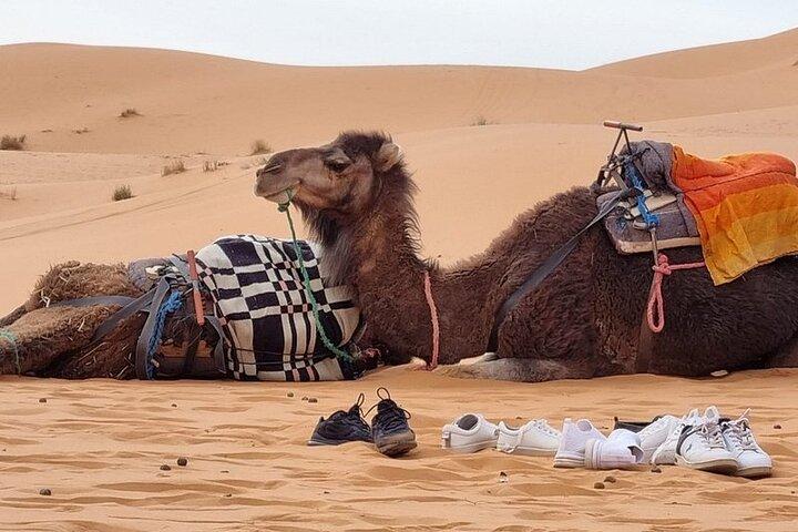 Private Family Desert Tour : 4 Days Marrakech to Sahara with Kids