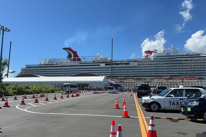 Tokyo Private Transfer for Yokohama Cruise Port
