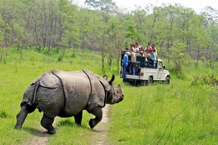 Chitwan Jungle Safari Escape: 3 Days from Kathmandu or Pokhara