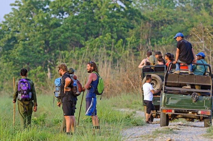 Chitwan Jungle Safari Escape: 3 Days from Kathmandu or Pokhara