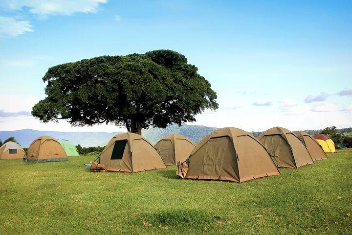 5 Days Private Camping Safari Adventure in Tanzania