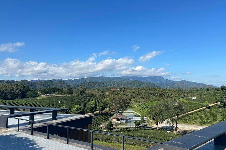Full Day Trip Around Chiang Rai Highlights with Pick up