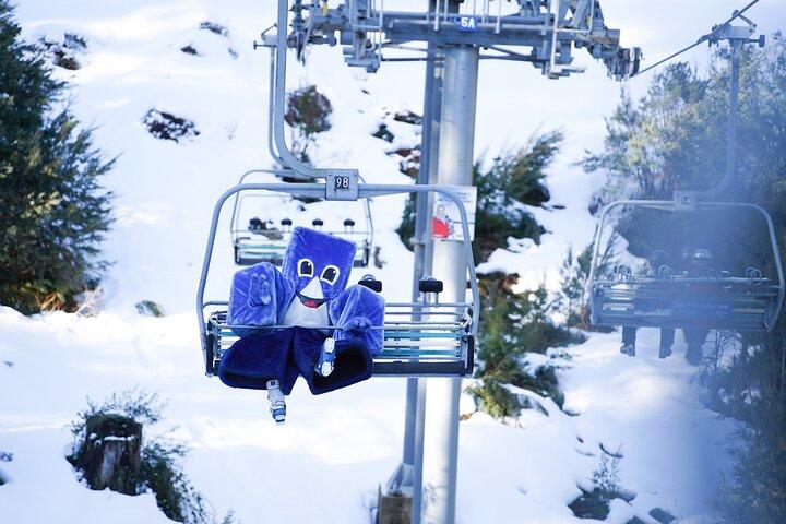 From Melbourne Mt Buller Enchanting Winter Day Tour