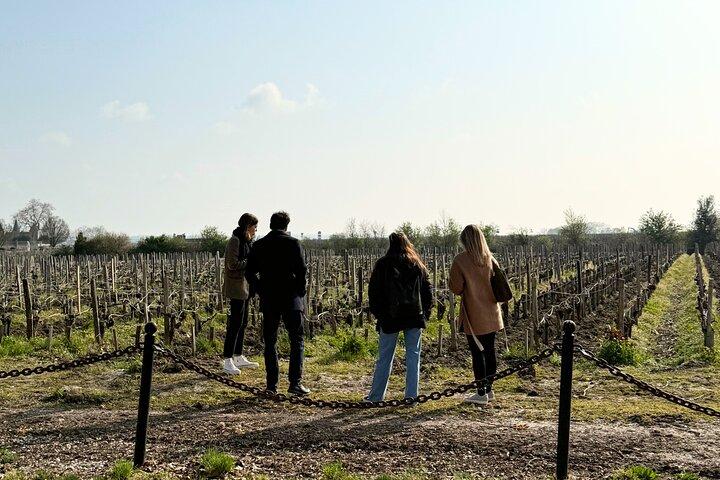 Medoc 1855 individual Half Day Wine Tour