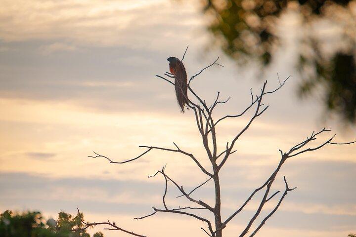 Safari tours in Udawalawa