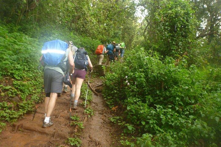 6 days Private Machame Route Tour