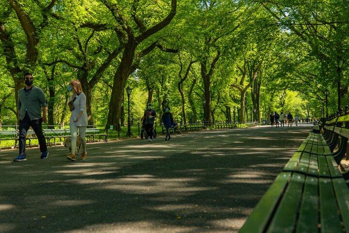 Central Park Guided Tours Pedicab