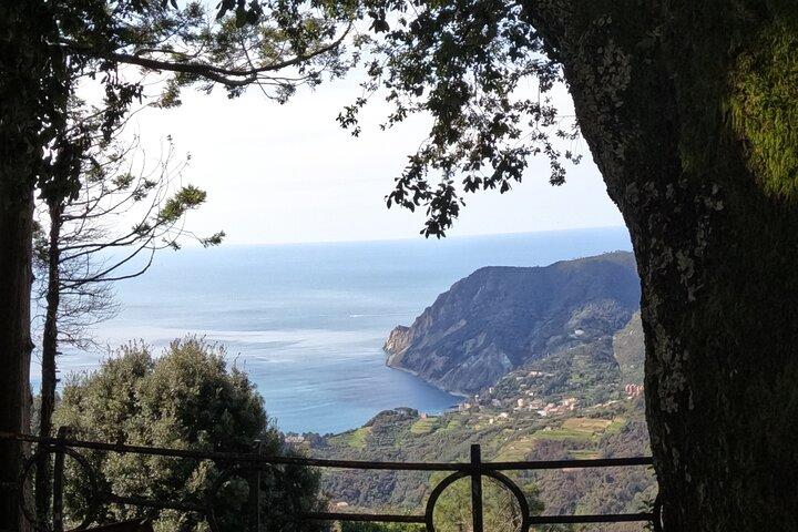 Wine trail by e-bike + aperitif on a farm