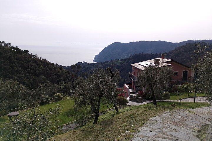 Wine trail by e-bike + aperitif on a farm