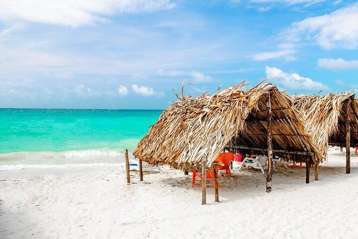 Full Day Tour to Playa Blanca Baru with Lunch
