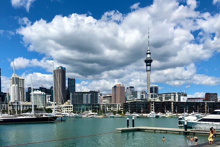 Auckland City Top Sights Half Day Tour - Small Group