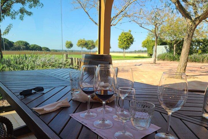 Lisbon Wine Tour: Azeitao, Setubal and Arrabida and Hotel Pickup
