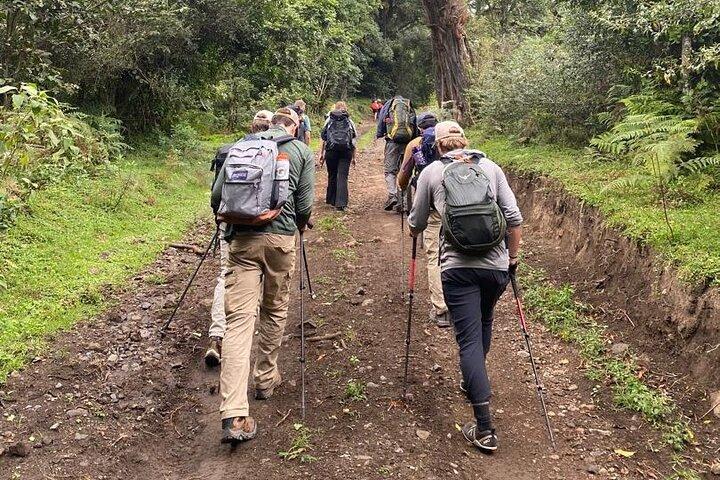 7 Day Kilimanjaro Trek Lemosho Machame Marangu or Rongai Umbwe