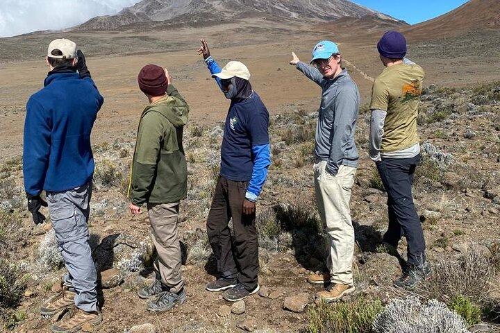 7 Day Kilimanjaro Trek Lemosho Machame Marangu or Rongai Umbwe