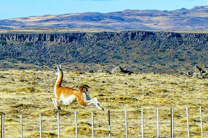 Private 8 Day Argentina Tour and Iguazu Falls and Moreno Glacier