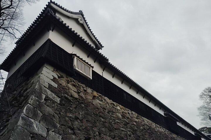 Fukuoka: Fukuoka Castle and Ohori Park Guided Tour