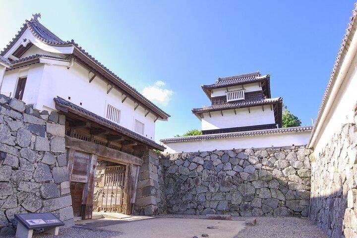 Fukuoka: Fukuoka Castle and Ohori Park Guided Tour