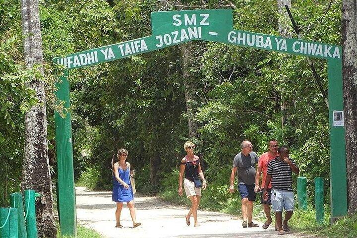 Zanzibar: Jozani forest, Sea turtles Sanctuary & Rock Restaurant