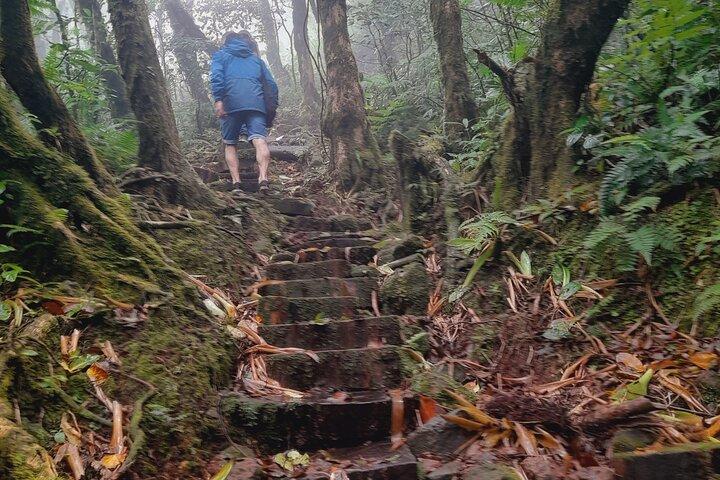 Mombacho Volcano Clouded Forest Trail and Ziplining