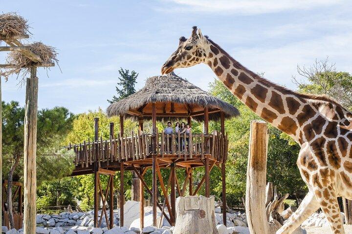 Zoo Aquarium Madrid Admission Ticket