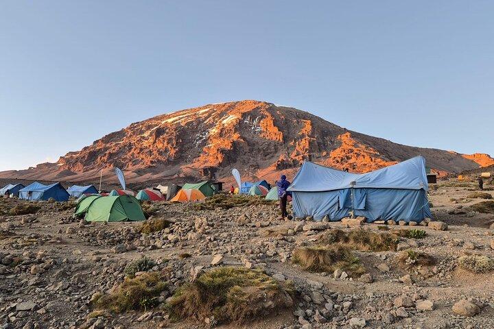 5 Day Kilimanjaro Marangu Route Adventure Climb