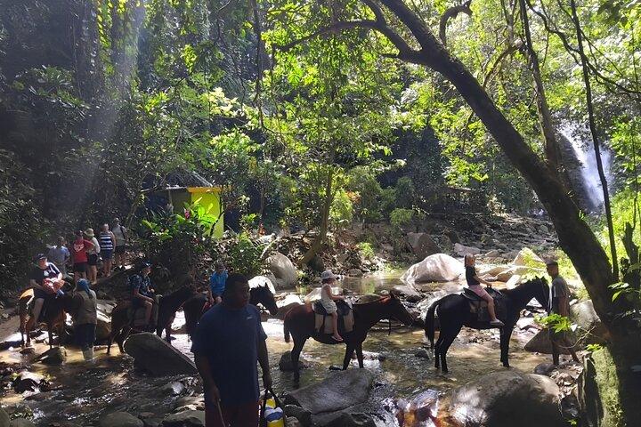 Private Tour Biausevu Waterfall and Fijian Village Experience