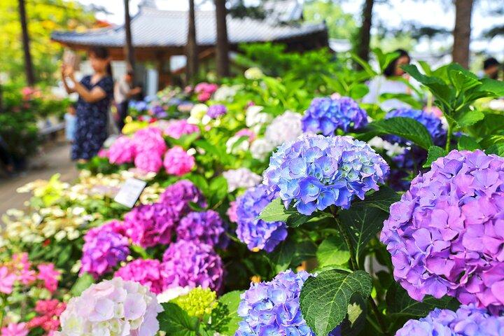 Nami Island and Gangchon Rail Bike Tour from Seoul