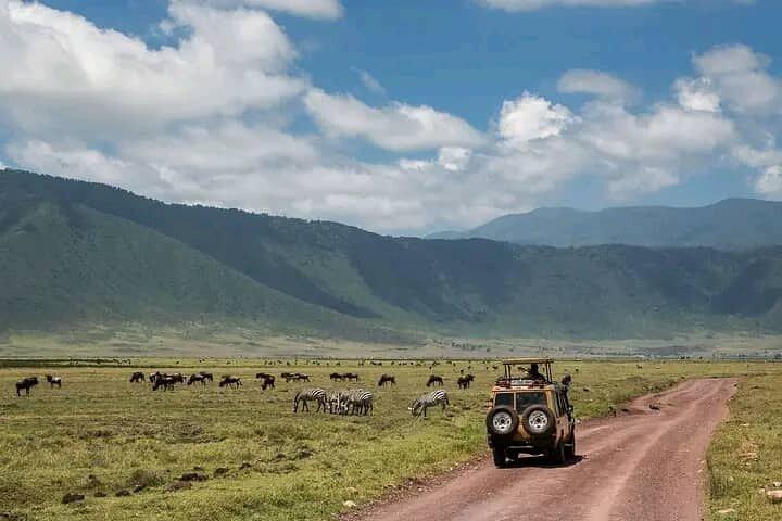 5 Days Private Safaris in Serengeti, Ngorongoro crater &Tarangire