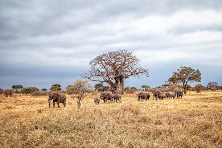 3 Days Ngorongoro Crater and Serengeti Safari.