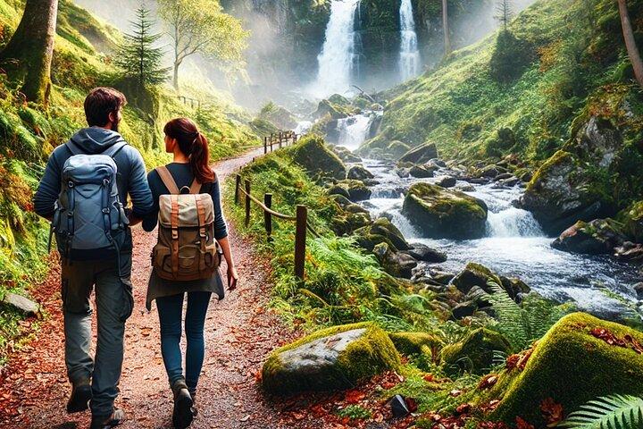 Private day trip from Frankfurt to Black Forest and Baden-Baden