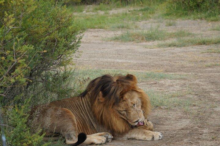 Classic Private Safari in Tanzania 7 Days