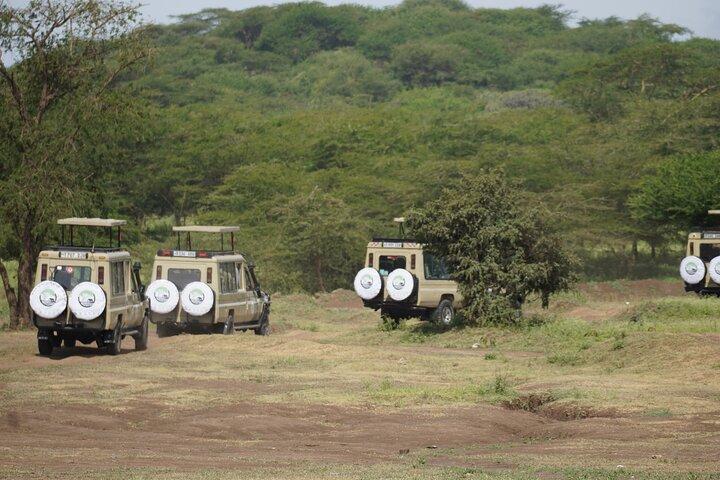 Classic Private Safari in Tanzania 7 Days