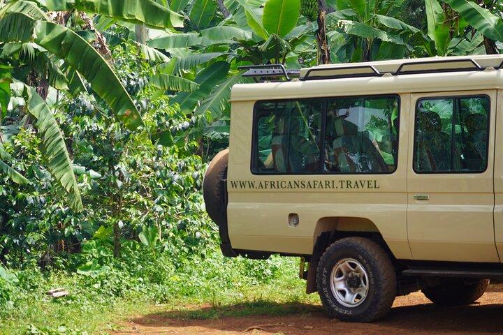 Classic Private Safari in Tanzania 7 Days